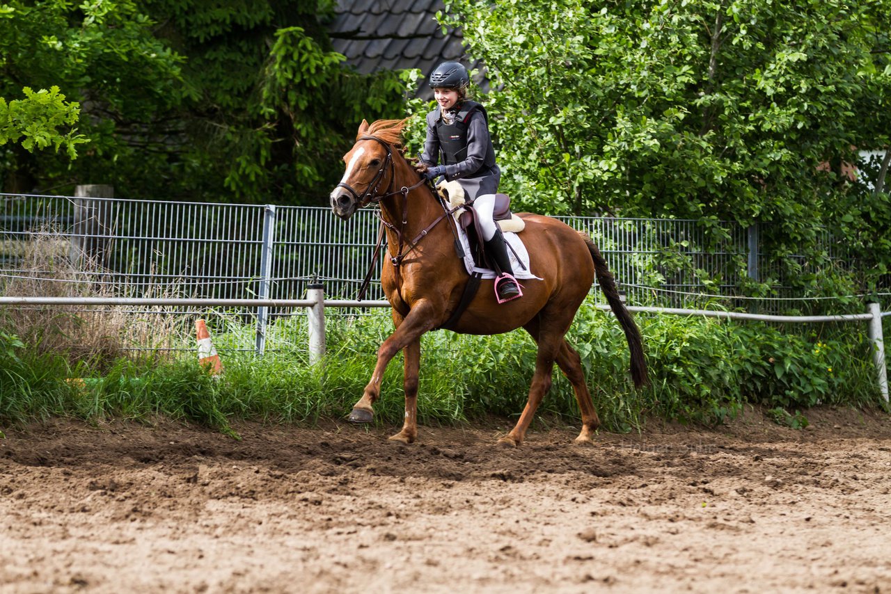 Bild 192 - Reitschule Janen Jubilum